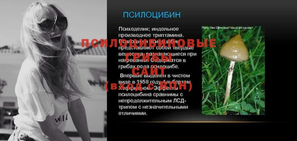 спиды Алексеевка