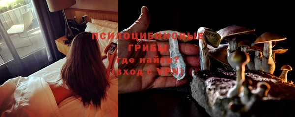 кокс Алексин