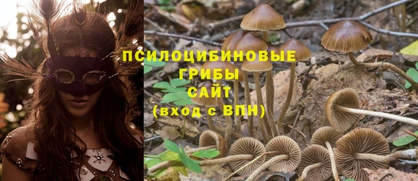 mdpv Алзамай