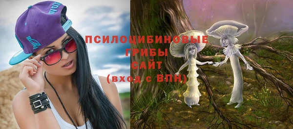 спиды Алексеевка