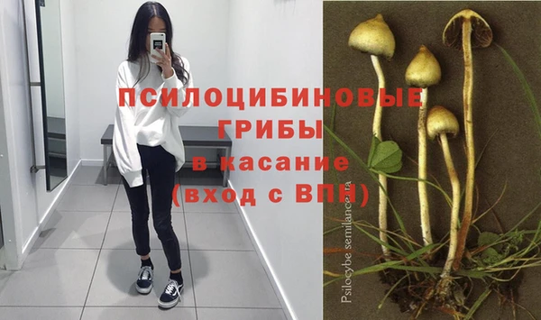 соль курить ск Каменногорск